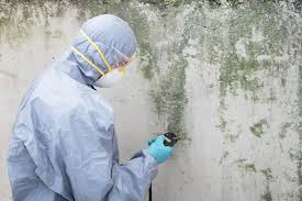 Mold Remediation for Rental Properties in Oxnard, CA